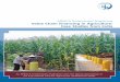 APRACA FinServAccess Programme Value Chain Financing in Agriculture: Case Studies … · 2015-04-22 · Value Chain Financing in Agriculture: Case Studies from India iii Preface Agricultural