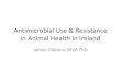 Antimicrobial Use & Resistance in Animal Health in Ireland · 2018-05-09 · Antimicrobial Use & Resistance in Animal Health in Ireland James Gibbons MVB PhD