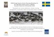 AEWA Single Species Action Planning Workshop for the Taiga ... · AEWA Single Species Action‐Planning Workshop for the Taiga Bean Goose (Anserf. fabalis), Tuusula Finland12‐14November