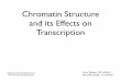Chromatin Structure and its Effects on Transcriptionw3.biosci.utexas.edu/atkinson/Epigenetics2014... · 2014-01-16 · Chromatin Structure and its Effects on Transcription Epigenetics
