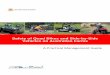 Safe use of Quad Bikes and Side by Side Vehicles on ... · Principles for quad bike and side-by-side vehicle safety on farms ... operator, handlebars for steering control and may