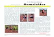 S A Racewalkingracewalking.letlapa.com/data/documents/Newsletter-June... · 2016-06-01 · S A Racewalking Number 3: June 2016 Issue 3 3 June 2016 Vincent Siphesihle Nhlapo was born
