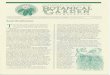 UNIVERSITY of CALIFORNIA Y=.1C ):Rbotanicalgarden.berkeley.edu/wp-content/uploads/2016/05/Newsletter-1994-3.pdfDeath Cap (Amanita phalloides). After suffering violent symptoms for