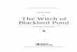 for The Witch of Blackbird Pond · England. Kit finds her new world to be very ... together to establish the Connecticut Colony. A separate colony, Old Saybrook, was settled in 1635