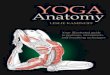 YOGA · The reason for this mutually illuminating relationship between yoga and anatomy is simple: The deepest principles of yoga are based on a subtle and profound appreciation of