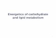 Energetics of carbohydrate and lipid metabolismfac.ksu.edu.sa/sites/default/...of_carbohydrate_and_lipid_metabolism_0.pdf · Energetics of carbohydrate and lipid metabolism 1. Metabolism: