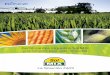 Fertilizantes Líquidos SolMIX · en numerosos cultivos. • Se han encontrado respuestas en trigo, cebada, colza, maíz, ... Cultivos Intensivos Cultivos Extensivos Equipos, forma