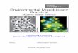 Environmental Microbiology Practical - uni-due.de the application of molecular biology methods to study