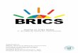  · BRICS. 2 Iº JORNADA DE COMERCIO INTERNACIONAL UNIVERSIDAD CAECE – MAR DEL PLATA Noviembre de 2013 ARGENTINA Y EL BRICS Sabido es que el mundo se encuentra atravesando una profu