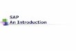 SAP An Introduction - Silpakorn University · Provide a high level overview of what SAP is SAP Authorization Concept Provide an introduction to Auditing ITGC’s in SAP Segregation