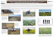 Treatment - Washington State Universitycss.wsu.edu/oilseeds/files/2014/02/Schillinger2014OSDS.pdf · Management of Fresh Wheat Residue for Irrigated Winter Canola Production William