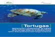 Tortugas - Detalle, por tortugas, sobre preferencias de hábitat según temperaturas Detalle, por tortugas, sobre preferencia de hábitat según profundidad Movimientos horizontales