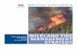 Wildland fire Excellence management strategy · B.C. WILDLAND FIRE MANAGEMENT STRATEGY 6 7 B.C. WILDLAND FIRE MANAGEMENT STRATEGY the convergence of these factors and their inevitable