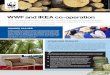 WWF and IKEA co-operation · The WWF and IKEA co-operation first began in 2002 to jointly promote responsible forestry. The first years of co-operation showed that by working together,