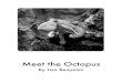 Meet the Octopus - Amplify · 2019-10-24 · The giant octopus is the world’s biggest octopus. It lives in the Pacific Ocean. Other kinds of octopuses live in other oceans, like