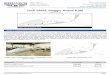 Tech Sheet: Piaggio Avanti P180 - Bruce's Custom Covers · Tech Sheet: Piaggio Avanti P180 (piaggio-P180.pdf) Piaggio 180 Canopy/Nose Cover Section 1: Canopy/Cockpit/Fuselage Covers