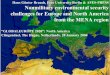 Hans Günter Brauch, Free University Berlin & AFES-PRESS ... · Hans Günter Brauch, Free University Berlin & AFES-PRESS Nonmilitary environmental security challenges for Europe and