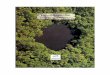 Economía Ambiental: Lecciones de América Latinasgpwe.izt.uam.mx/files/users/uami/del/economia_ambiental_lecciones_de_al.pdf · Economía ambiental: Lecciones de América Latina