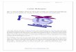 Lucky Helicopter - Craftsmanspace · Project: Lucky Helicopter Page 1 of 15 Lucky Helicopter Playing games is an integral part of every person’s life. The game is very important