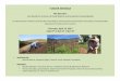 FUNDER WEBINAR - SAFSF · 4/13/2017  · FUNDER WEBINAR The Real Dirt: Soil Health as a Driver of Food System and Ecosystem Sustainability Co-Sponsored by: David & Lucile Packard