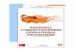 REGIONAL COMMPPETITIVENESS OPERATIONAL PROGRAMME · REGIONAL COMMPPETITIVENESS OPERATIONAL PROGRAMME (CCI No. 2007 TR 16 I PO 003) Ankara ... Key Points of Socio-economic Analysis