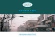 INDIA SUMMARY - UEMI · Author: Jaya Dhindaw, Santhosh Kodukula, Shritu Shrestha, Madhav Pai Editor: Oliver Lah This publication is part of the Urban Pathways project and the Future