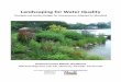 Landscaping for Water Quality - University Of Maryland · 2014-02-15 · Landscaping for water quality invites nature back into our lives and yards. ... Trees and shrubs are natural