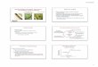 WheatAcademy-15-wSIM - WSU Small Grainssmallgrains.wsu.edu/.../2017/06/Tim-Murray_WheatAcademy15_Epidemiology.pdf · Epidemiology of Eyespot, Stripe Rust and Soilborne Wheat Mosaic