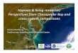 Hypoxia & living resources: Perspectives from Chesapeake ...Hypoxia & living resources: Perspectives from Chesapeake Bay and cross-system comparisons Denise Breitburg ... Compensatory