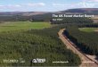 The UK Forest Market Report… · The UK Forest Market Report has been produced since 1998 and the data series now covers 20 years, incorporating some 1,643 transactions totalling