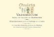 Vademécum - Taller de Literaturatallerdeliteratura.es/wp-content/uploads/2018/11/2-valdemc3a9cum.pdf · 02/11/2018  · para ellos proponerles un . tema ge-nérico, las andanzas
