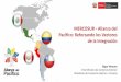 MERCOSUR - Alianza del Pacífico: Reforzando los Vectores ...funag.gov.br/images/2018/Junho/Mercosul/Apresentations/EDGAR-VASQUEZ... · Edgar Vásquez Vice Ministro de Comercio Exterior
