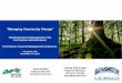 “Managing Community Change” - AFOABC · Appreciating and valuing the best of what is Analysis of causes Envisioning what might be Analysis of possible solutions Dialoguing what