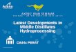 Latest Developments in Middle Distillates Hydroprocessing … · 2017-08-07 · Naphtha Hydroprocessing Challenge about producing ULSD Axens Prime-D ™ Offer Hydrotreating Licensing