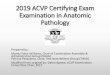 2019 ACVP Certifying Exam Examination in Anatomic Pathology...•100 multiple choice questions •50-70% gross images •20-50% microscopic images, which can include histopathology,