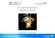 DCD Heart Transplantation Papworth Perspective · Care | Valued | Excellence | Innovation DCD Heart Transplantation Papworth Perspective Simon Messer Stephen Large