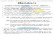  · Directions: Read the following passage. Then answer the questions that follow. Chameleons Chameleons are lizards related to iguanas. There are about 160 species of chameleon