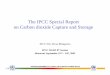 The IPCC Special Report on Carbon dioxide Capture and Storage · INTERGOVERNMENTAL PANEL ON CLIMATE CHANGE (IPCC) The IPCC Special Report on Carbon dioxide Capture and Storage 