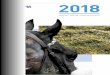 ANNUAL REPORT AND ACCOUNTS · BHA Vision and Mission 4 Chair’s Statement 6 Chief Executive’s Foreword 8 Financial Report 13 Strategic Report 25 Equine Welfare Leadership 26 