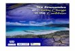 The Economics of Climate Change in the Caribbean – Summary ... · THE ECONOMICS OF CLIMATE CHANGE IN THE CARIBBEAN UNITED NATIONS ECONOMIC COMMISSION FOR LATIN AMERICA AND THE CARIBBEAN