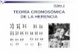 TEMA 3: Teoría cromosómica de la herenciarnavajas/wp-content/uploads/2017/03/TEMA_2_GI.pdf · de cromosomas reducido a la mitad), lo que asegura que la cantidad de información
