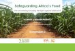 Safeguarding Africa’s Food - Aflasafe · Safeguarding Africa’s Food Are we winning or losing the fight against aflatoxin? AGENDA & SPEAKER PROFILES ... Eastern Africa Grain Council