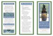 Spruce Needle Brochure - Natural Alternative Pathnaturalalternativepath.com/blog/wp-content/uploads/2013/07/Spruce-Needle-Brochure.pdf• Pregnant women and other sensitives should
