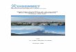 MONITOREO GEOQUÍMICO DE LOS VOLCANES MISTI (AREQUIPA) …ovi.ingemmet.gob.pe/wp-content/uploads/2018/10/2008_Informe_Geoquimica... · Los sistemas hidrotermales, están asociados