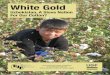 Uzbekistan, A Slave Nation For Our Cotton? · Uzbekistan, A Slave Nation For Our Cotton? Environmental Jus ce Founda on in partnership with the Uzbek-German Forum for Human Rights