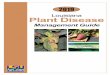 Louisiana Plant Disease - LSU AgCenter/media/system/c/a/9/a/ca9a... · 2019-01-28 · Introduction . The LSU AgCenter Plant Disease Management Guide is a resource for crop producers