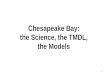 Chesapeake Bay: the Science, the TMDL, the Models · Pollution Diet by River Pollution Diet by State 9. 10 The Chesapeake Bay ... Watershed Model as THE MODEL. Phase 6 Average Load