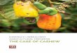 NIGERIA’S UNREALISED AGRICULTURAL PROWESS THE CASE OF CASHEW · of access to cashew-specific funding and inputs, low local processing capacity and poor access to market. All these