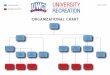 Organizational Chart...Nene Shaw -Vacant-Competitive Sports Lucy Caples Grad Assistant Competitive Sports-Vacant-Assoc. Director Programs Lauren Adams Marketing & Promotions Coordinator