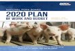 NATIONAL PORK BOARD 2020 Plan · 1/1/2020  · 2020 Plan of Work and Budget NATIONAL PORK BOARD JANUARY 1, 2020 - DECEMBER 31, 2020 We Build Trust and Increase Value of U.S. Pork
